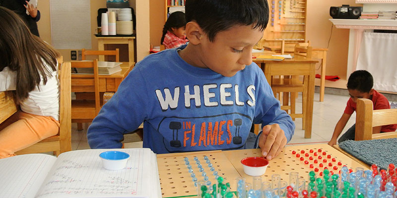 Ambiente de Primaria